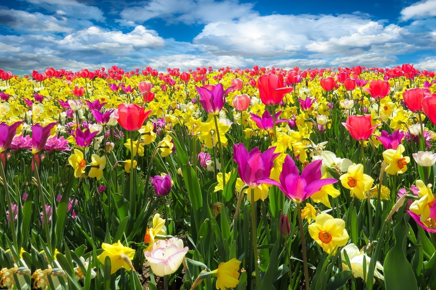 10 rzeczy, które warto zrobić wiosną – przygotuj się!